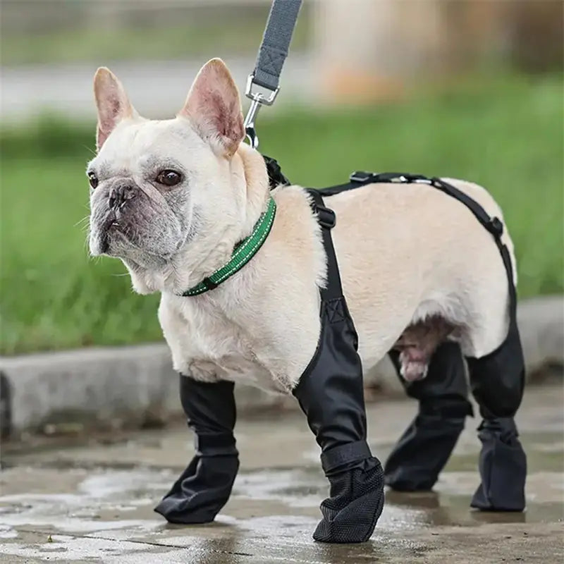 Non-Slip Dog Shoes