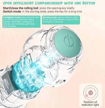 Smart Electric Rolling Ball Cat Toy